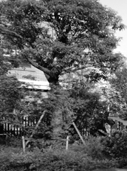 梅县注册公司